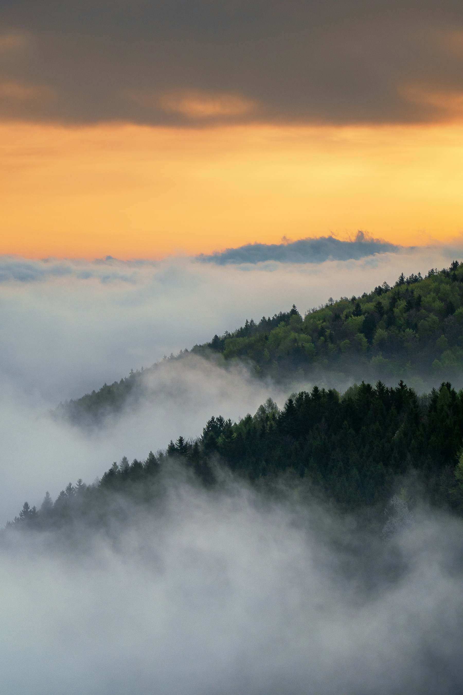 Misty forested mountain ridges at sunrise